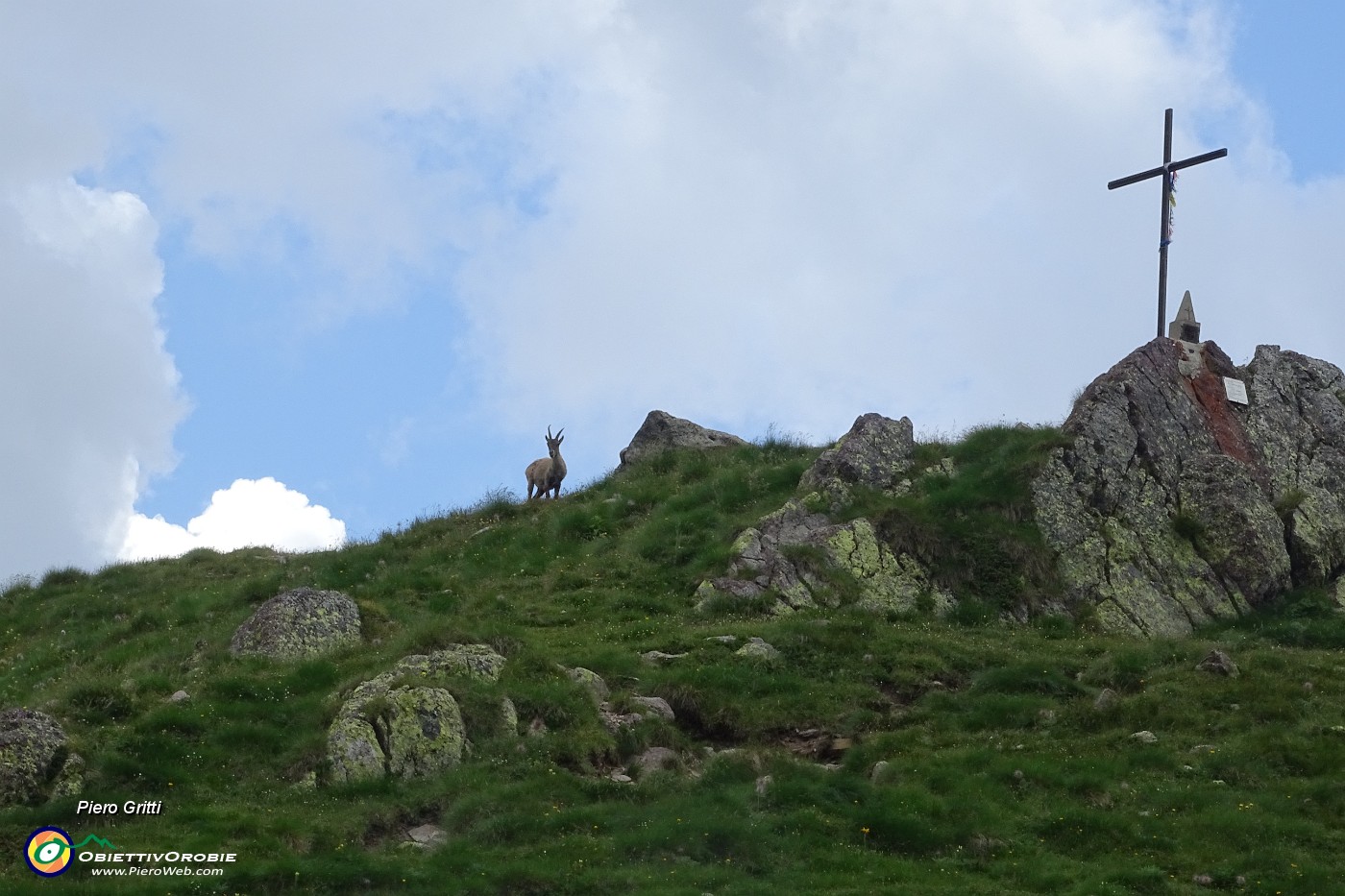 92 Sguardo indietro alla croce del Passo di Mezzeno con lo stambecco che osserva.JPG